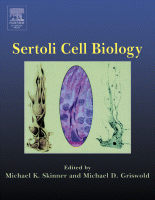 Sertoli cell biology [electronic resource]