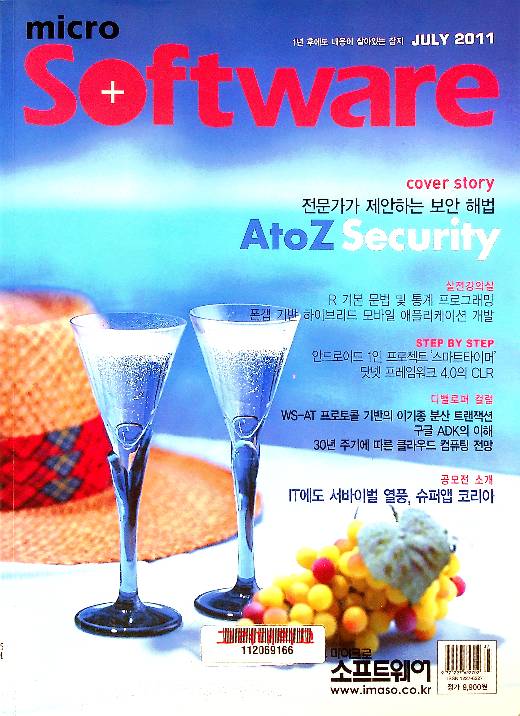 마이크로소프트웨어