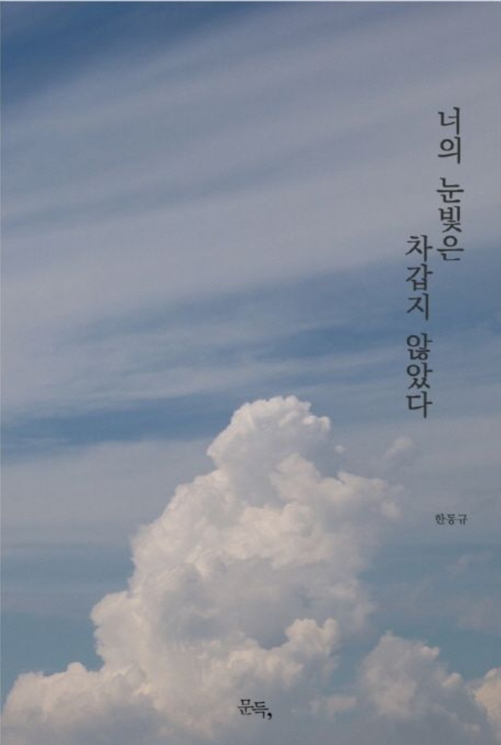 너의 눈빛은 차갑지 않았다 : 한동규 시집